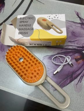 Brosse à vapeur مشط العناية بالحيوانات