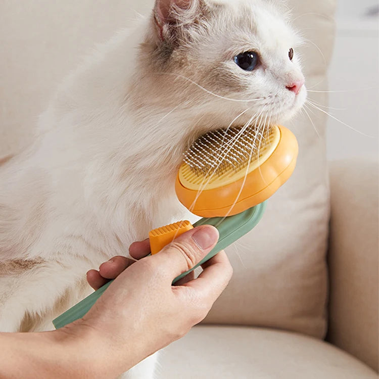 pet brush مشط لإزالة شعر القطط