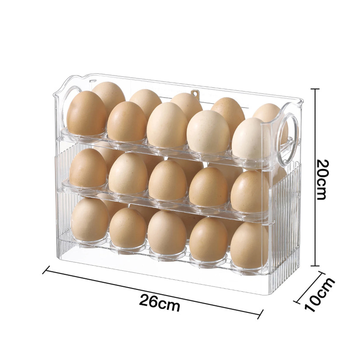 rangement pour œufs صندوق تخزين البيض