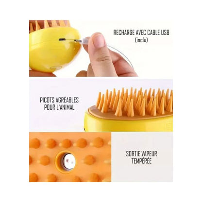 Brosse à Vapeur 3 en 1 فرشاة بخار كهربائية